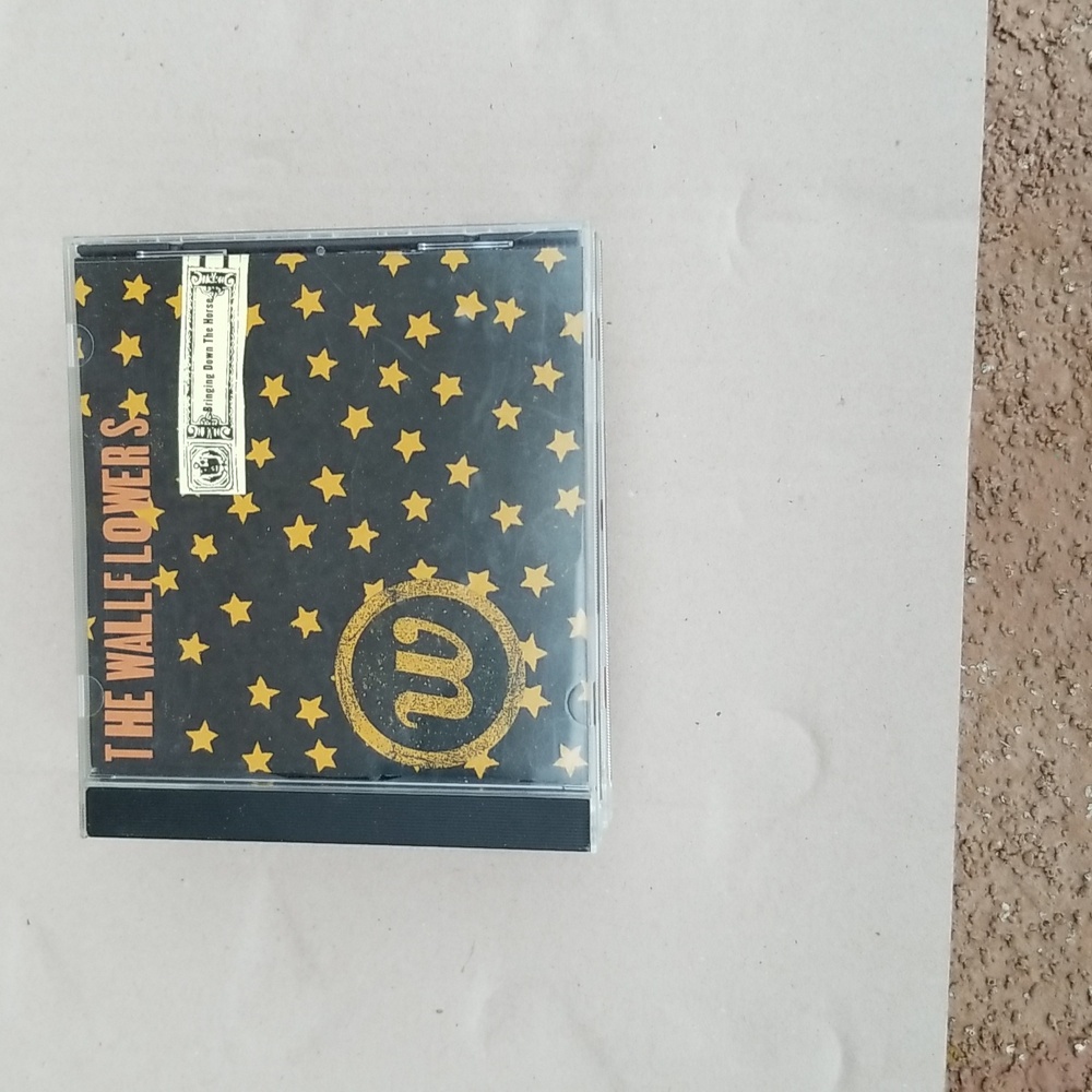 THE WALLFLOWERS CD BRINGING DOWN THE HORSE